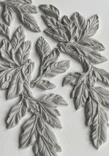 Load image into Gallery viewer, IOD Moulds