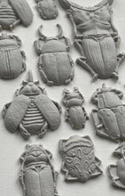 Load image into Gallery viewer, IOD Moulds