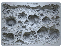 Load image into Gallery viewer, IOD Moulds
