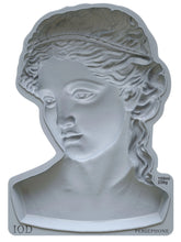 Load image into Gallery viewer, IOD Moulds