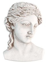 Load image into Gallery viewer, IOD Moulds