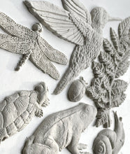 Load image into Gallery viewer, IOD Moulds