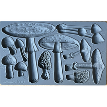 Load image into Gallery viewer, IOD Moulds