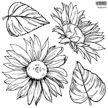 Load image into Gallery viewer, IOD Stamps