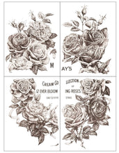 Load image into Gallery viewer, IOD Transfers
