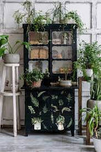 Load image into Gallery viewer, ReDesign Transfer-Botanical Snippets