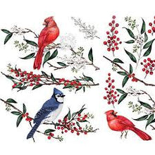 Load image into Gallery viewer, Redesign MIDI Transfer-Winterberry
