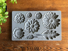 Load image into Gallery viewer, IOD Moulds