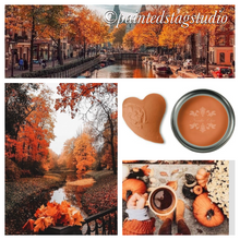Load image into Gallery viewer, Nordic Chic Furniture Paint-Pumpkin
