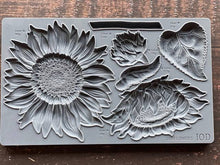 Load image into Gallery viewer, IOD Moulds
