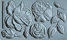 Load image into Gallery viewer, IOD Moulds