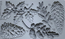 Load image into Gallery viewer, IOD Moulds