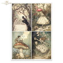 Load image into Gallery viewer, Mixed Media Set-Alice&#39;s Magic Vol 1