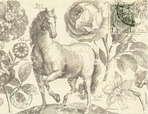 Botanical Equine