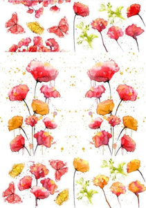 Peaceful Poppies-A1 Transfer