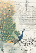 Load image into Gallery viewer, Peacock Ephemera
