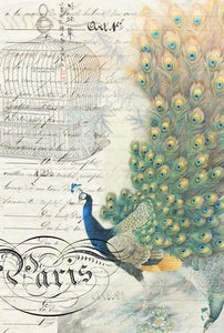 Peacock Ephemera