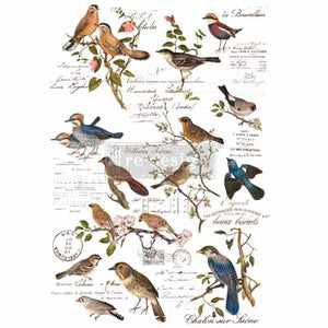 Postal Birds ReDesign Transfer