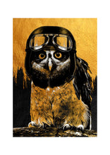 Load image into Gallery viewer, Owl