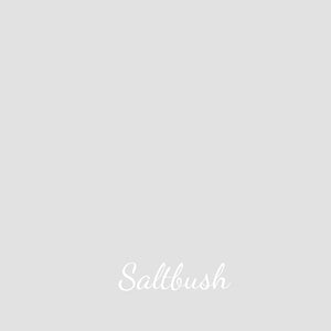 Saltbush