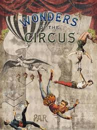 Wonders of the Circus